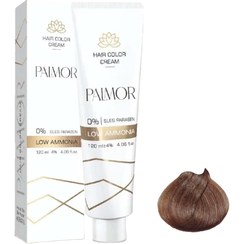 تصویر پالمور 8.31 