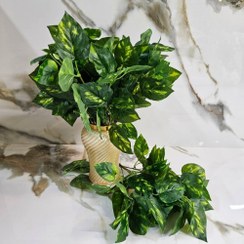 تصویر بوته پتوس ابلق مصنوعی 