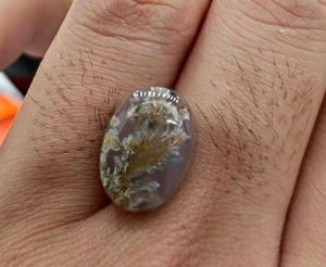 تصویر فروشگاه جواهر خان