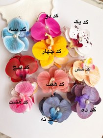 تصویر کلیپس گل ارکیده - کد 