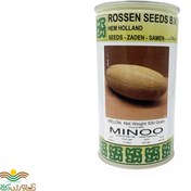 تصویر بذر خربزه خاتونی مینو روزن سید هلند نیم کیلویی Persian Melon Minoo 0.5Kg Seeds