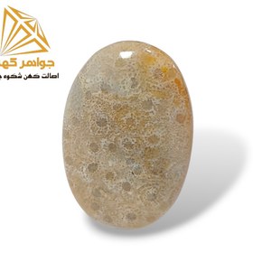 تصویر نگین فسیل مرجان (کد ۲) 