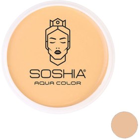 تصویر کرم گریم فشرده سوشیا مدل B1 (بژ روشن) Soshia make-up cover cream