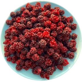 تصویر بلک بری خشک پفکی 