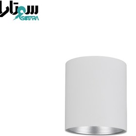 تصویر چراغ سقفى روکار SH-3016 