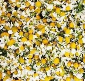 تصویر بابونه شیرازی بسته 100 گرمی