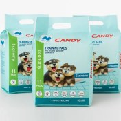 تصویر پک اقتصادی ۳ تایی پد سگ و گربه کندی (۳۳ عدد) 