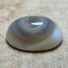 تصویر باباقوری طبیعی خاص زیبا 