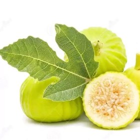 تصویر بذر انجیر زرد 10 عددی 