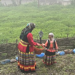 تصویر چای دست ساز سنتی از روستای بالابند 100 گرمی 