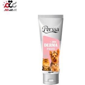 تصویر خمیر تقویت پوست و مو پرسا وزن 100 گرم Perssa, Derma Paste zinc plus, Dog And Cat