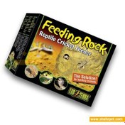 تصویر صخره غذادهی خزندگان اگزوترا ا Exo Terra Feeding Rock Exo Terra Feeding Rock