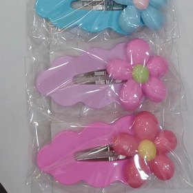 تصویر گیره دالبری گل بزرگ 