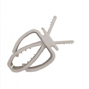 تصویر گیره کف دریا 