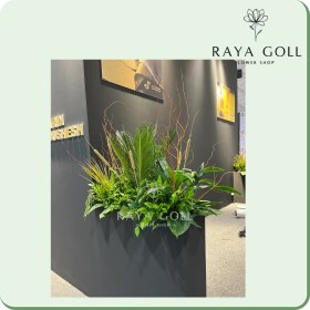 تصویر برگ آرایی لیندا 