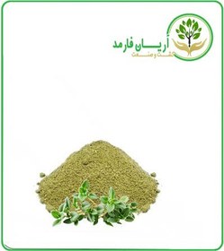 تصویر عصاره آویشن شیرازی خشک یا پودری 