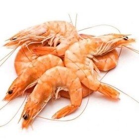 تصویر میگو فله 