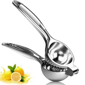 تصویر 406-25 آبلیمو گیر 