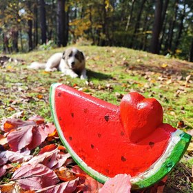 تصویر ماکت یونولیتی هندوانه برای شب یلدا به قطر 30 سانتی متردیوارکوب و استند Styrofoam Watermelon Mock-Up for Yalda Night - 30 cm DiameterWall Hanging & Stand Option