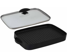 تصویر گریل وکباب پز بریاجی 