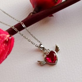 تصویر قلب پرنده 