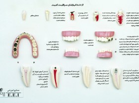 تصویر مولاژ مراقبت دندان 