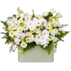 تصویر باکس گل رز و ارکیده سفید 