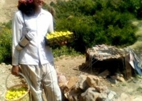 تصویر تحقیق معرفی جاذبه های گردشگری وایین های سنتی روستای چیروک طبس 