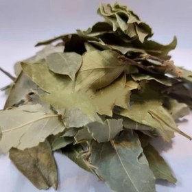 تصویر برگ بو کاهش قند خون