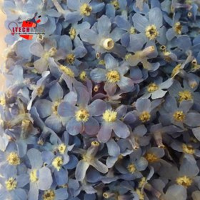 تصویر گل خشک آبی (10 عددی) 