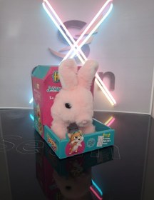 تصویر خرگوش موزیکال 