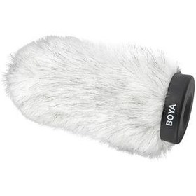 تصویر ویندشیلد بویا BY-P160 