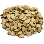 تصویر بذر تخمه هندوانه محبوبی آجیلی (2 گرمی رویش بذر) بذر گیاه تخم گیاه 