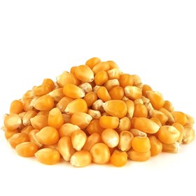 تصویر ذرت - یک کیلو Corn