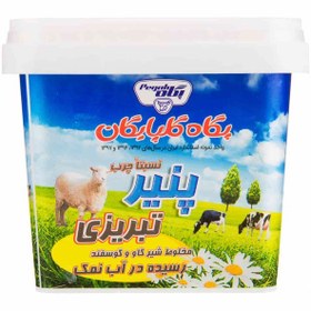 تصویر پنير گوسفندي تبريزي 400 گ IML پگاه 