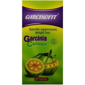 تصویر کپسول گارسینوفیت بهتا دارو 60 عدد Behta Daru Garcinofit 60 Caps