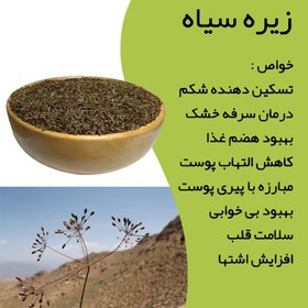 تصویر پودر زیره سیاه سالم 