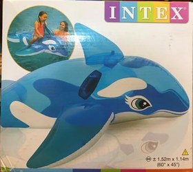 تصویر دلفین بادی intex 