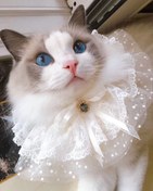 تصویر لباس سگ و گربه اکسسوری 