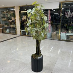 تصویر درختچه پتوس ابلق مصنوعی 