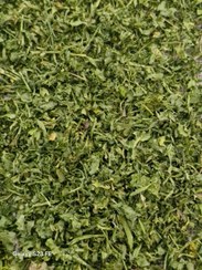 تصویر شنبلیله خشک نیشابور 