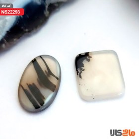 تصویر شجر هندی 