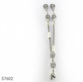 تصویر کرکوش نقره زیبا کد 57602 