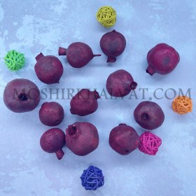 تصویر انار خشک تزیینی 
