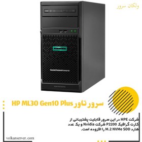 تصویر سرور HPE ProLiant ML30 G10 Plus 