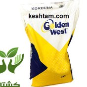 تصویر بذر ذرت کوردونا گلدن وست ا Korduna Golden West corn seeds Korduna Golden West corn seeds