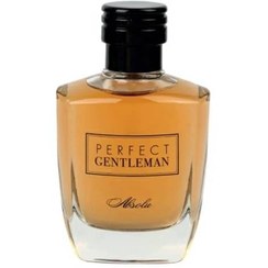 تصویر ادو پرفیوم مردانه آرت اند پرفیوم مدل perfect gentleman absulo حجم 100 میلی لیتر 