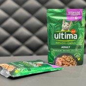 تصویر پوچ مخصوص گربه آلتیما Ultima