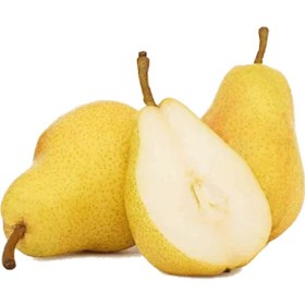 تصویر گلابی 