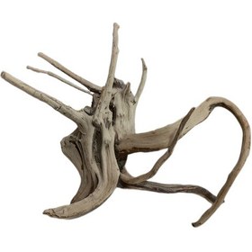 تصویر چوب تزیینی آبنوس کد 01 مخصوص آکواریوم مدل ریشه مانگرو 